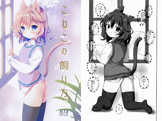 こねこの飼い方